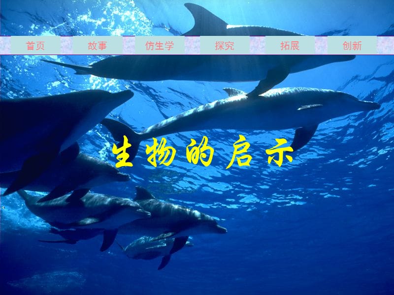 小学科学课件生物的启示.ppt_第1页