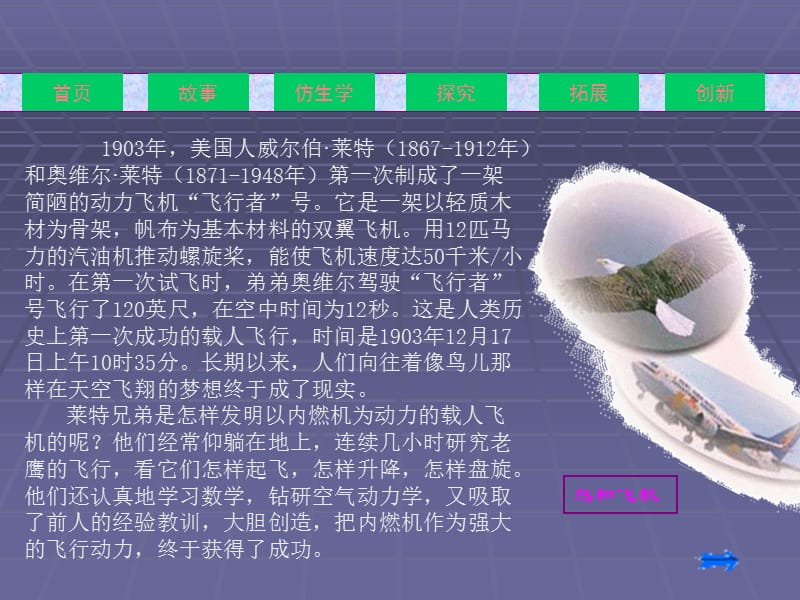 小学科学课件生物的启示.ppt_第2页