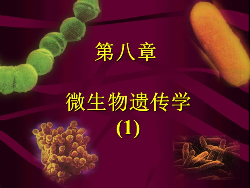 天津工业大学考研微生物课件19.ppt_第1页