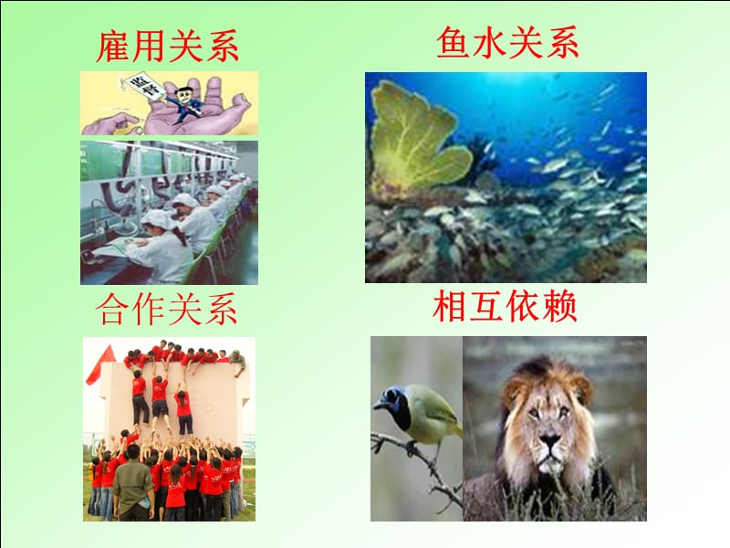 如何成为优秀的基层管理人员.ppt_第3页