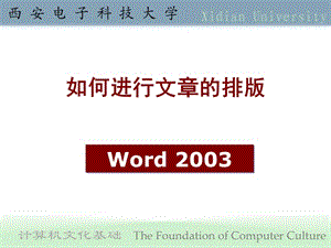 第4章字处理软件Word2003.ppt