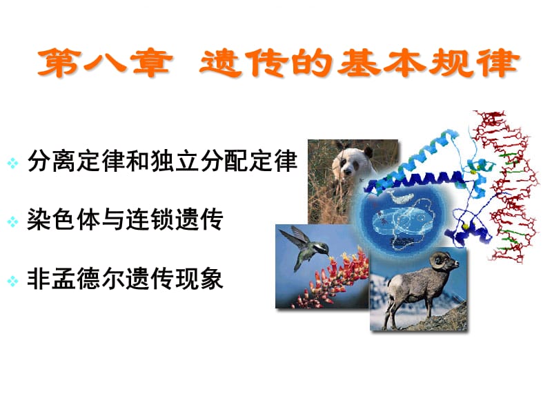 普通生物学复习资料第六讲.ppt_第1页