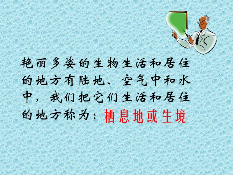 地球上的生物(全).ppt_第2页