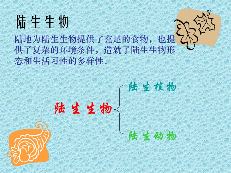 地球上的生物(全).ppt_第3页