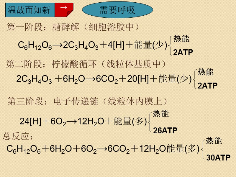 生物：《影响细胞呼吸的因素》课件(新人教版必修1).ppt_第2页