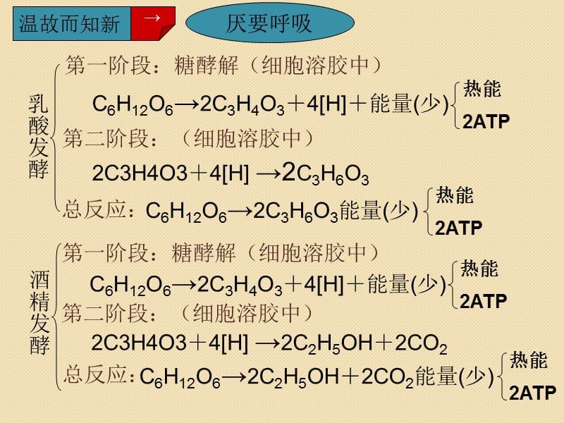 生物：《影响细胞呼吸的因素》课件(新人教版必修1).ppt_第3页