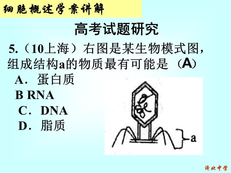 《细胞的化学组成》.ppt_第2页