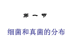 第四章第一节细菌和真菌的分布改.ppt