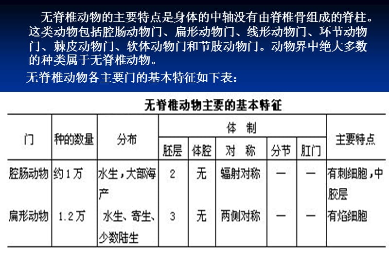 省竞赛辅导--动物分类2.ppt_第2页