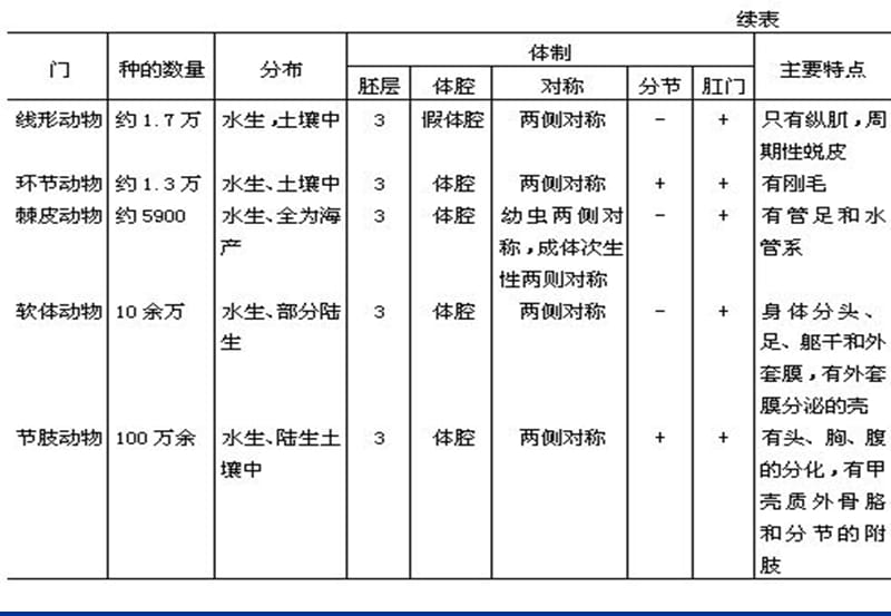 省竞赛辅导--动物分类2.ppt_第3页