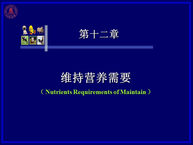 第十二章维持营养需要.ppt_第1页