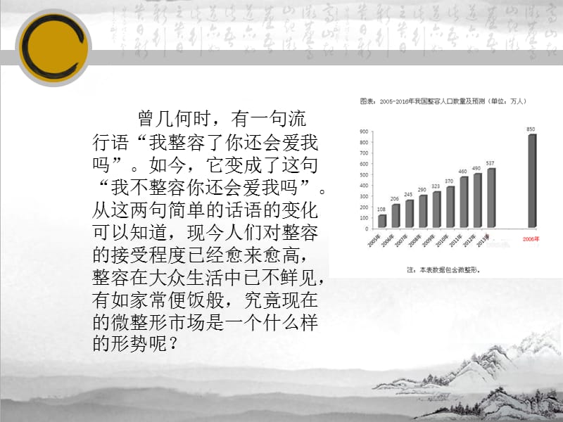 浅谈微整形为何如此火爆.ppt_第2页