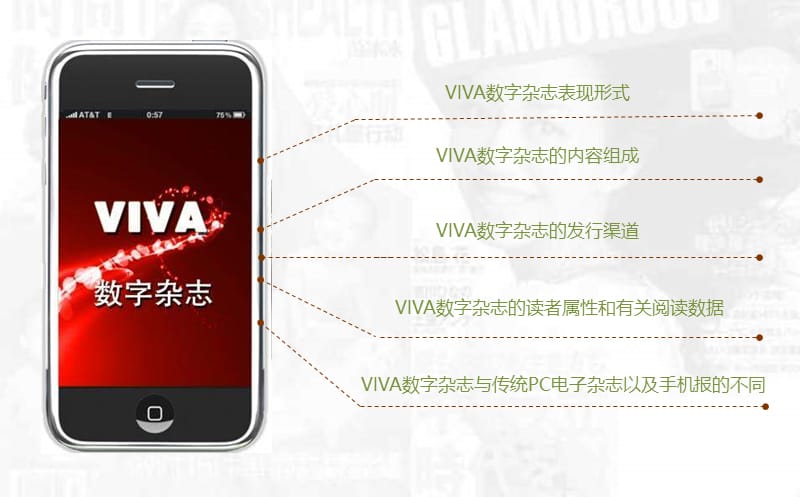 苏宁易购VIVA无线传播方案.ppt_第2页