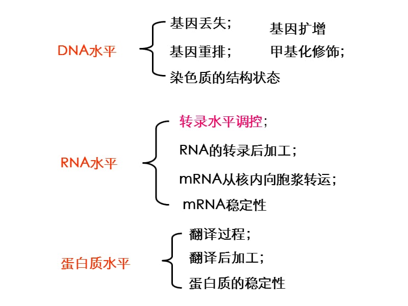 第十四章基因表达的调控.ppt_第2页