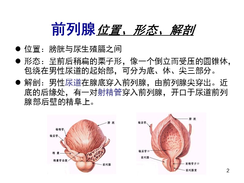 盐酸坦洛新的应用优势.ppt_第2页