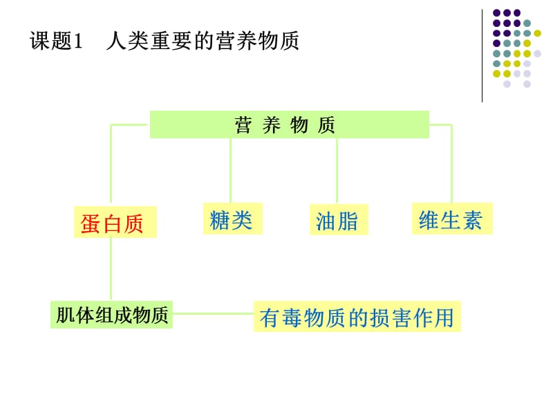 12.1生活中的化学物质.ppt_第2页