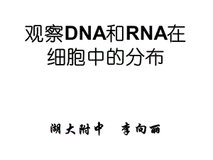 生物：《观察DNA和RNA在细胞中的分布》课件(新人教版必修1).ppt