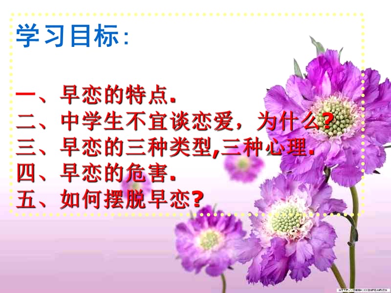 班会课课件：莫让情感航船过早靠岸.ppt_第3页