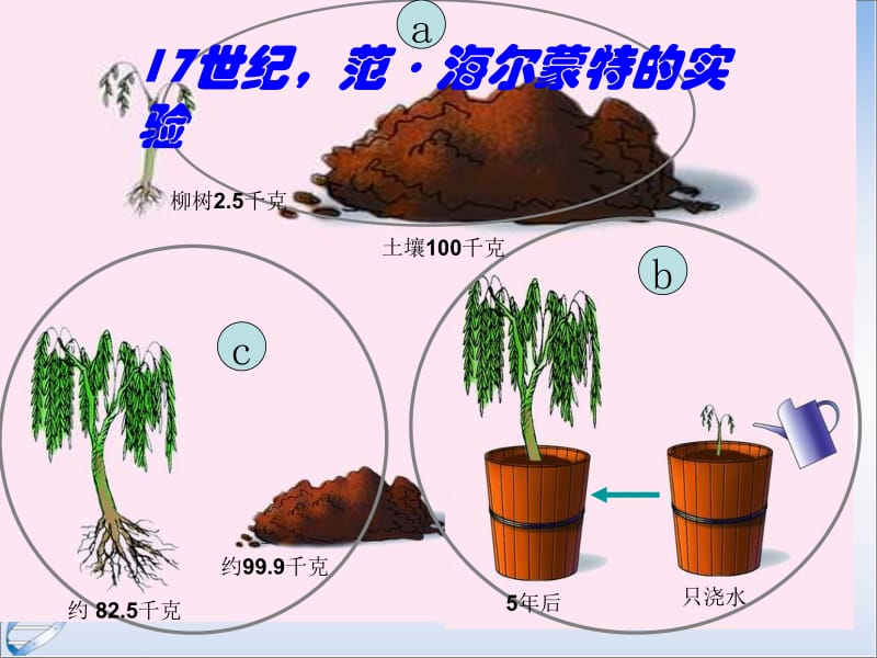 苏教版七年级上册生物第六章第七章复习专题.ppt_第3页