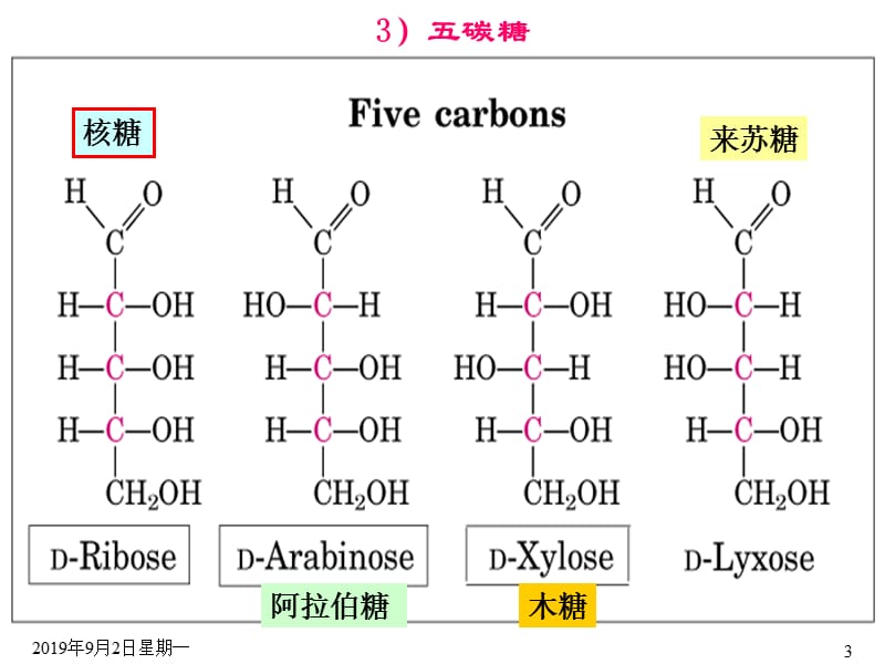 五、重要的单糖和单糖衍生物.ppt_第3页