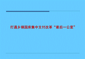 打通乡镇国库集中支付改革最后一公里.ppt