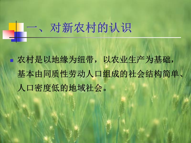 新农村建设的几个问题.ppt_第3页