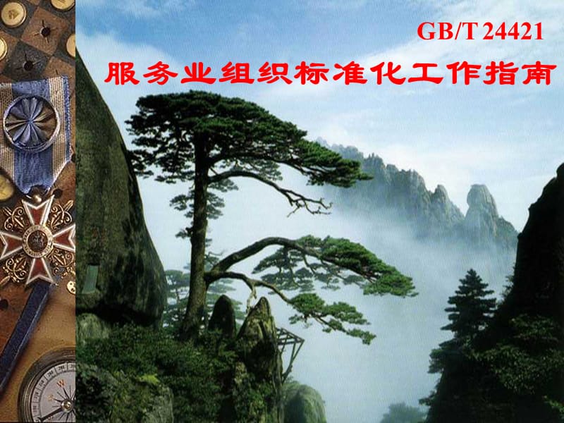 GBT24421服务业组织标准化工作指南.ppt_第1页