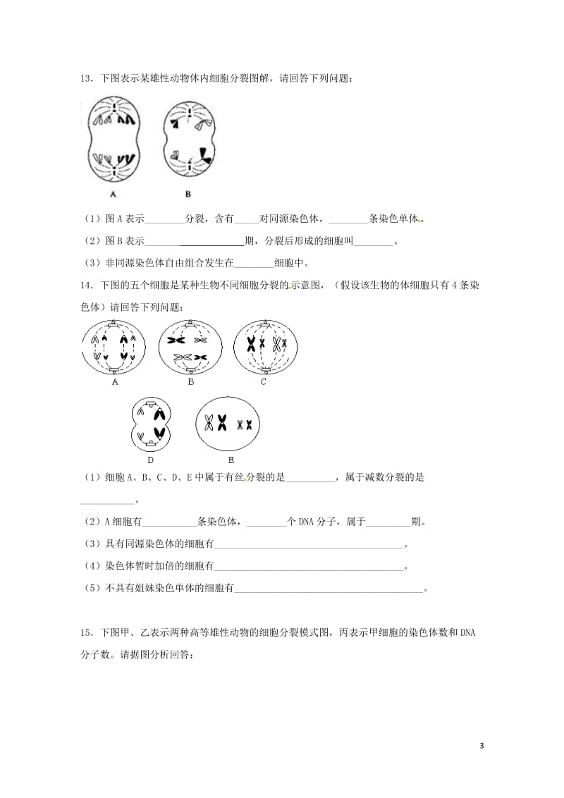 河北省邢台市高中生物第二章基因和染色体的关系2.1减数分裂和受精作用第1课时课时训练新人教版必修22.doc_第3页