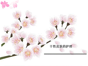 干性皮肤护理.ppt