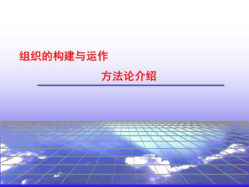 组织的构建与运作方法论介绍.ppt_第1页