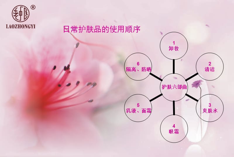 毛孔护理课件.ppt_第2页