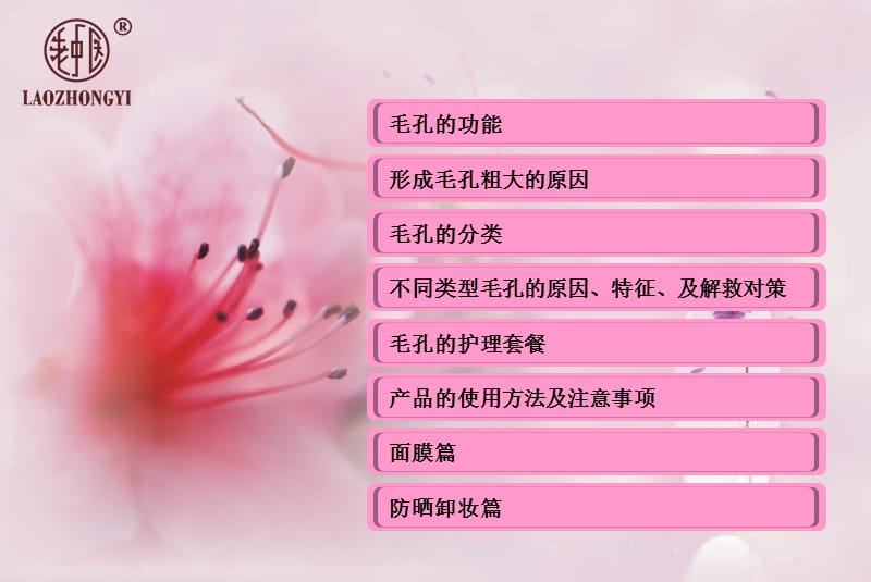 毛孔护理课件.ppt_第3页