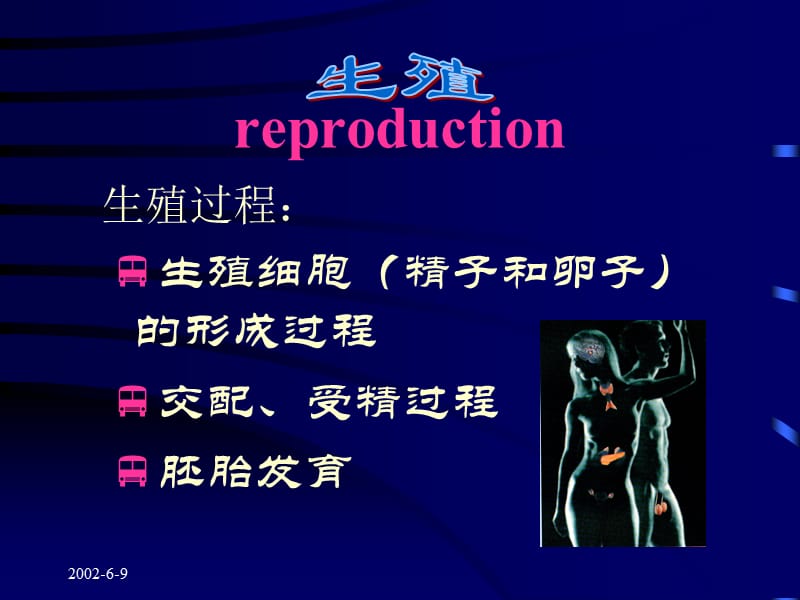 生殖.ppt_第1页