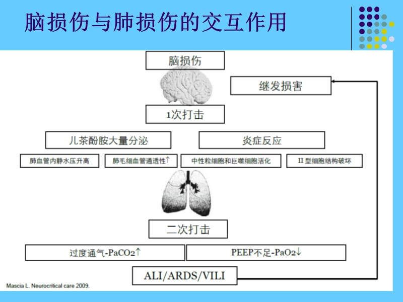 颅脑创伤患者机械通气治疗.ppt_第3页