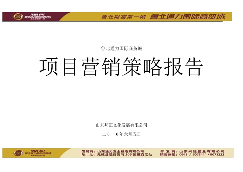 2010年山东鲁北通力国际商贸城项目营销策略报告（35页） .doc_第1页