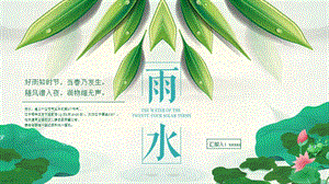 雨水二十四节气通用PPT模板.pptx