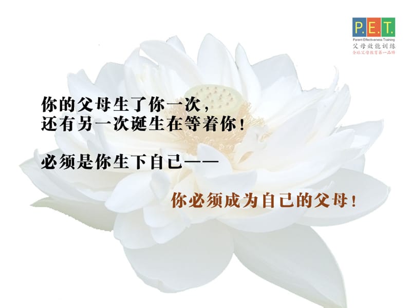 生命系统重建.ppt_第3页