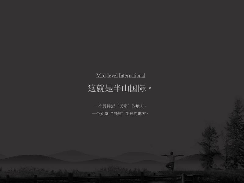 2010年南昌 保利半山国际整合推广策略148p.ppt_第2页