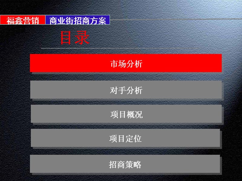 2011水岸天际裙楼商业街招商方案61p.ppt_第2页