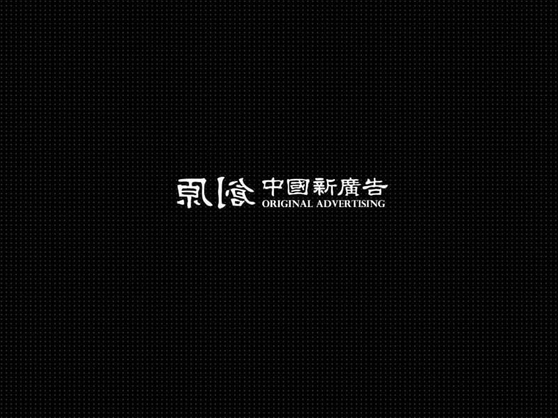 2010世纪瑞博：中堂下阶段推广策略及执行规划.ppt_第2页