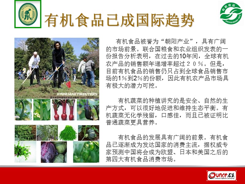 广丰有机蔬菜市场推广方案.ppt_第2页