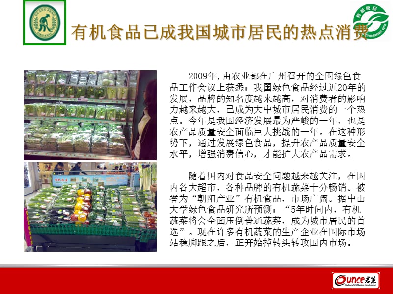 广丰有机蔬菜市场推广方案.ppt_第3页