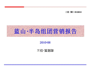 2010年8月成都蓝山半岛组团营销报告114p.ppt