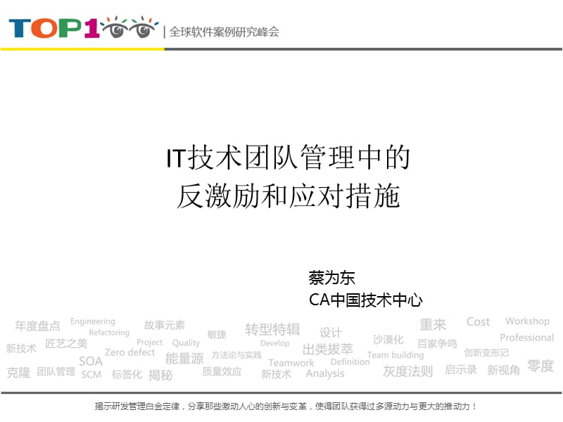 IT技术团队管理中的—CA.ppt_第1页