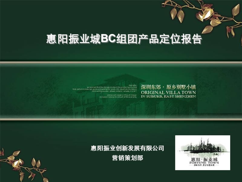 深圳惠阳振业城BC组团产品定位报告（119页） .ppt_第1页