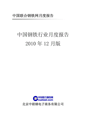 中国钢铁行业月度报告12月版.pdf