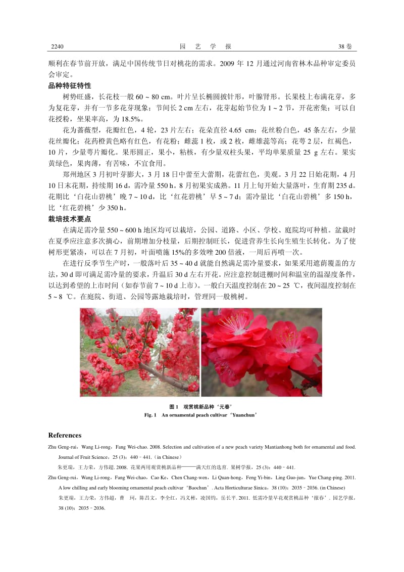 低需冷量早花观赏桃品种‘元春’ .pdf_第2页