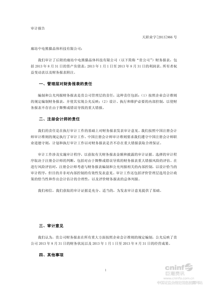 廊坊中电熊猫晶体科技有限公司审计报告.pdf_第2页