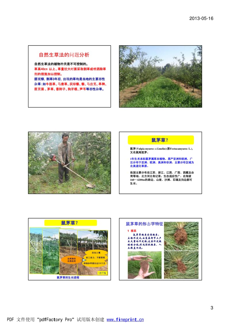 李俊良-果园覆草有机质提升技术.pdf_第3页