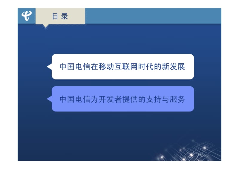 肖金学：中国电信助力开发者创新梦想.pdf_第2页